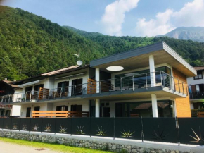 Seia Mountain Wellness